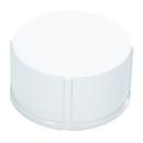 Test-Tite&reg; White PVC DWV Test Cap in White 