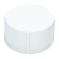 1-1/2 in. PVC DWV Test Cap in White