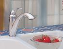 Pfister Stainless Steel Single Handle Pull Out Kitchen Faucet 
