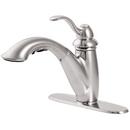 Pfister Stainless Steel Single Handle Pull Out Kitchen Faucet 