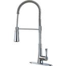 Pfister Polished Chrome Single Handle Pull Down Kitchen Faucet