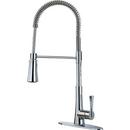 Pfister Polished Chrome Single Handle Pull Down Kitchen Faucet 