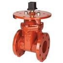 6 in. Flanged Ductile Iron Resilient Wedge Gate Valve