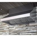 Zephyr Stainless Steel Wall Mount Range Hood in Stainless Steel 