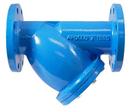 Apollo Valves 2-1/2 in. Cast Iron Flanged Valve Strainer 