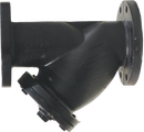 Apollo Valves Wye Cast Iron Flanged Valve Strainer 