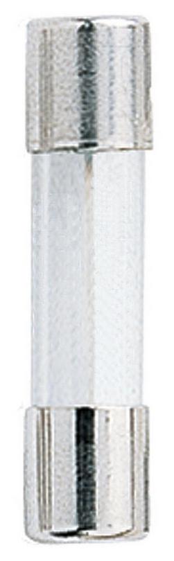 5A Time Delay Cartridge Fuse