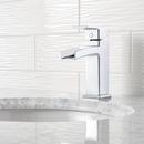 Pfister Polished Chrome Single Handle Monoblock Bathroom Sink Faucet 