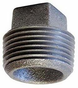 2 in. Black Malleable Iron Cored Plug