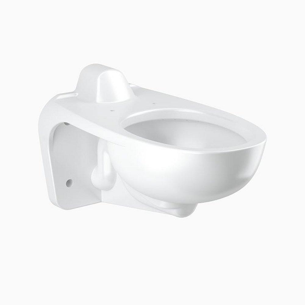 Sloan Valve White Elongated Wall Mount Toilet 