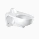 Sloan Valve White Elongated Wall Mount Toilet 
