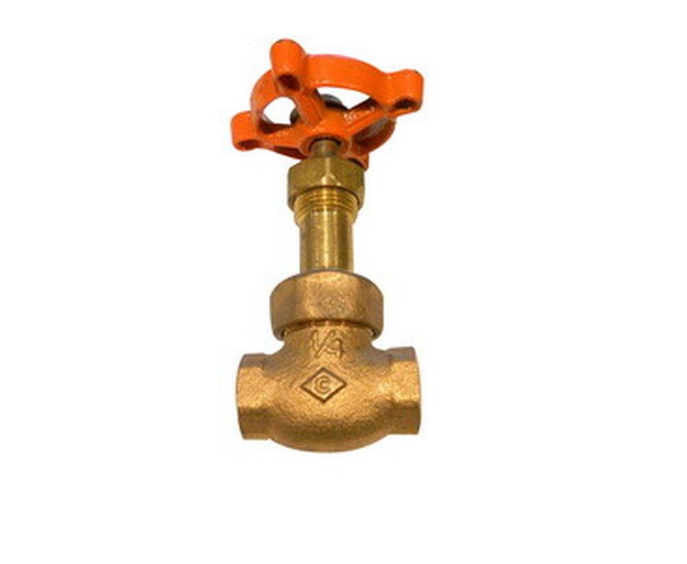 Lunkenheimer-Energovalves Bronze Screwed Globe Valve 