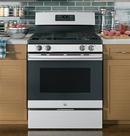 GE&reg; Stainless Steel/Grey 30 in. Gas 4-Burner Sealed Freestanding Range 