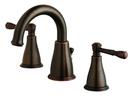 Two Handle Bathroom Sink Faucet in Tumbled Bronze