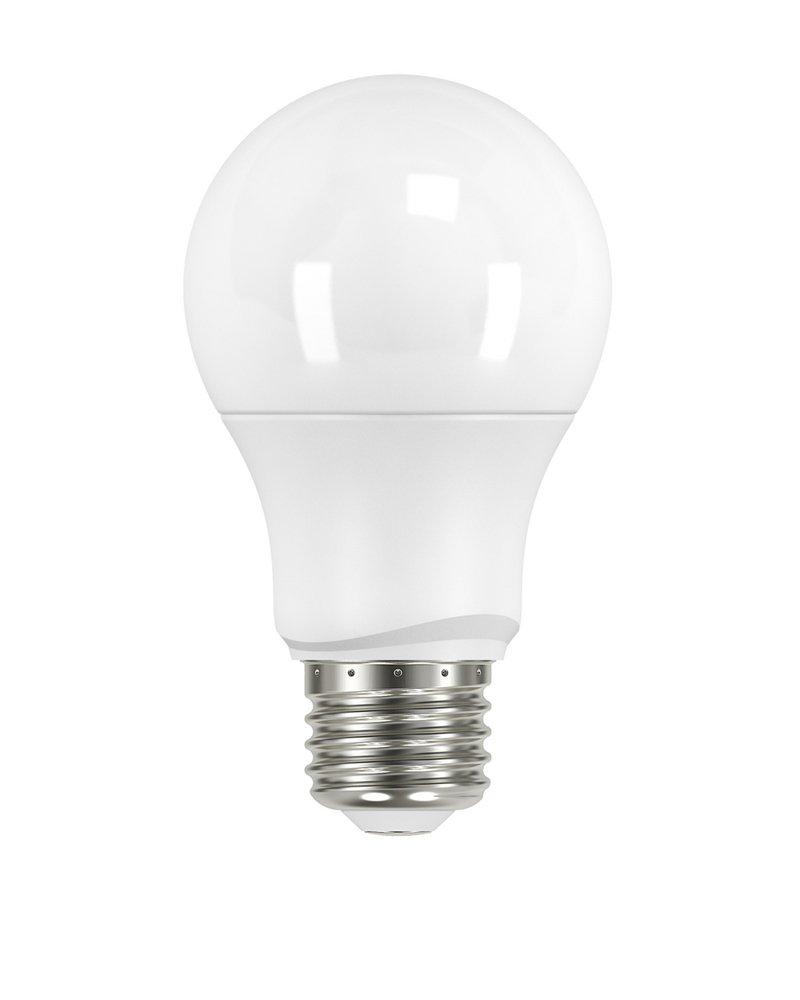 SATCO Frosted/Warm White A19 LED Light Bulb with Medium Base 