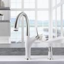 BLANCO PVD Steel/White Single Handle Pull Down Kitchen Faucet 