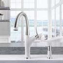 BLANCO PVD Steel Single Handle Pull Down Kitchen Faucet 
