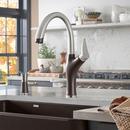 BLANCO PVD Steel/Caf&eacute; Single Handle Pull Down Kitchen Faucet 