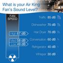 Air King America Inc 3-Blade Ceiling Mount Portable Fan 