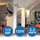 Air King America Inc 3-Blade Oscillating Wall Mount Portable Fan 