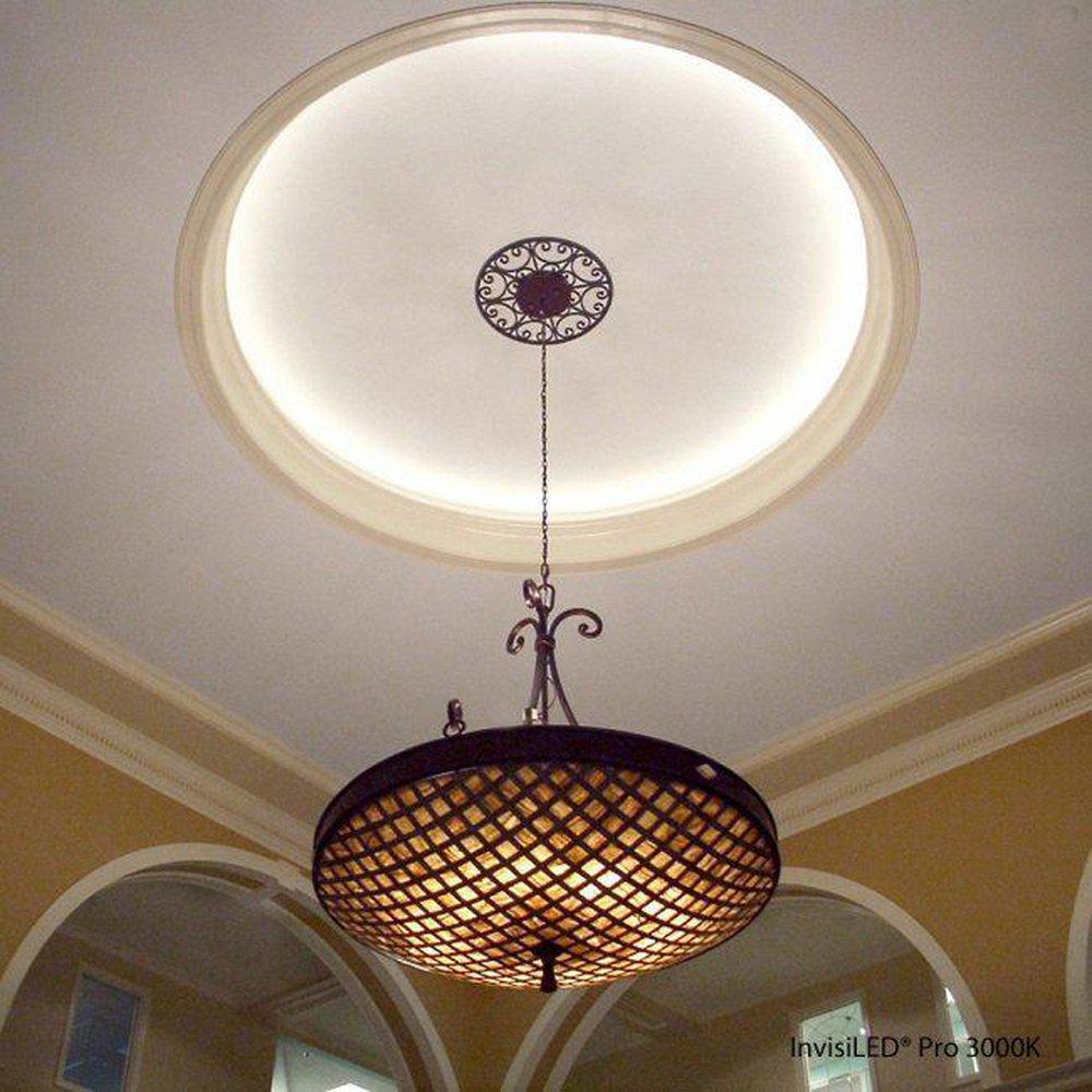 WAC Lighting White LED Tape Light Section 
