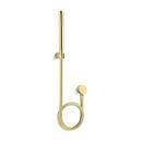 Dual Function Hand Shower in Unlacquered Brass