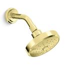 5-1/4 in. 1.75 gpm Showerhead with Arm in Unlacquered Brass