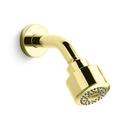 Single Function Showerhead in Unlacquered Brass