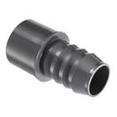 Grey Insert x IPS Spigot Straight Schedule 40 PVC Adapter 