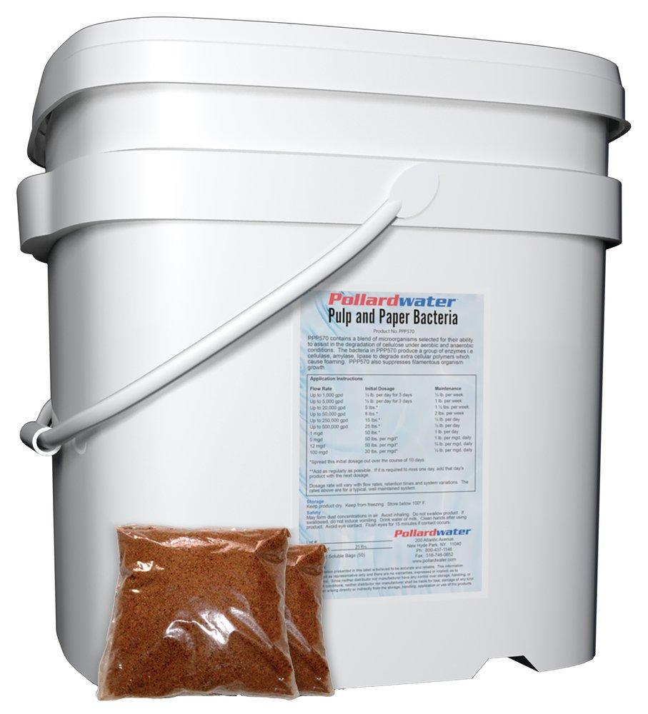 Pollardwater Pulp and Paper Bacteria 