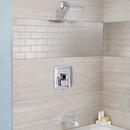 American Standard Legacy Bronze Single Function Full Showerhead 