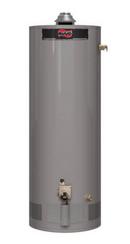 Ruud Short 38 MBH Residential Natural Gas Water Heater 