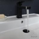 DXV Matte Black Single Handle Monoblock Bathroom Sink Faucet 