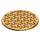 Newport Brass 2 in. Shower Drain 