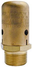 Hoffman Specialty Male Steel Vacuum Breaker 