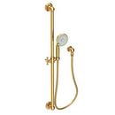 Multi Function Hand Shower in Aged Brass