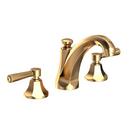 Newport Brass Uncoated Polished Brass - Living Two Handle Widespread Bathroom Sink Faucet 