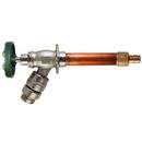 6 in. Satin 1/2 x 3/4 in. F1960 x GHT Wall Hydrant