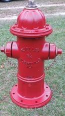Mueller Company Red Red Mechanical Joint Assembled Fire Hydrant 