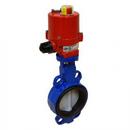 2-1/2 in. Ductile Iron Grooved EPDM Hand Wheel Butterfly Valve