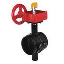 Tyco Ductile Iron Grooved EPDM Hand Wheel Butterfly Valve 