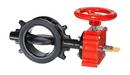 4 in. Ductile Iron Grooved EPDM Hand Wheel Butterfly Valve