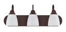 Capital Lighting Bronze 100W 3-Light Medium E-26 Incandescent Vanity Fixture 