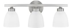 100W 3-Light Medium E-26 Base Incandescent Vanity in Brushed Nickel
