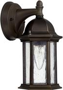75W 1-Light Outdoor Wall Lantern in Old Bronze