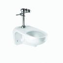 Sloan Valve White 1.28 gpf Elongated One Piece Toilet 