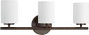 Progress Lighting Antique Bronze 3-Light Medium E-26 Base Incandescent Bath Light 