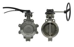 3 in. Stainless Steel Flanged RTFM Lever Handle Butterfly Valve