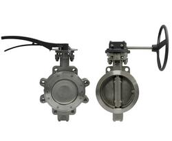4 in. Stainless Steel Flanged RTFM Worm Gear Butterfly Valve