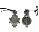 2-1/2 in. Carbon Steel Flanged RTFM Lever Handle Butterfly Valve